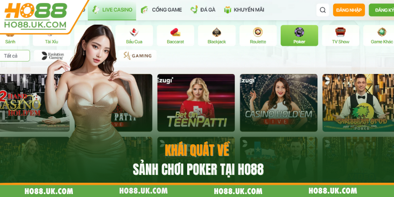 Poker HO88 - Mang Không Gian Lý Tưởng Để Thử Thách Tư Duy🃏🧠 1 Khái quát về sảnh chơi Poker tại HO88