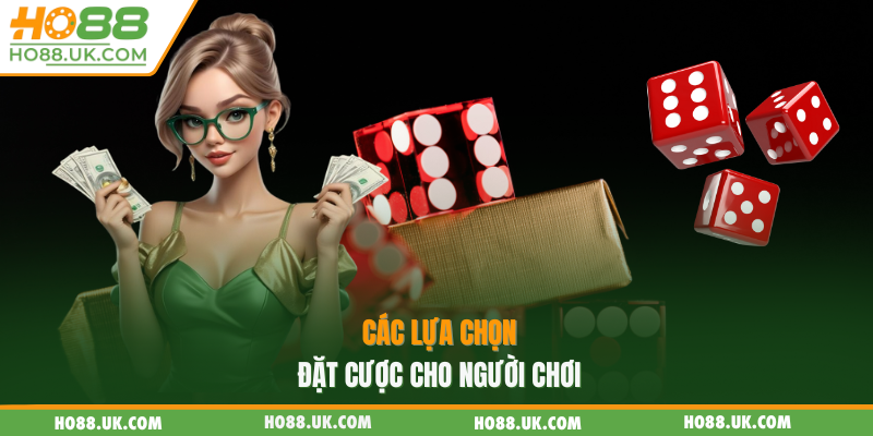 Tài Xỉu HO88 - Trải Nghiệm Công Nghệ Live Trực Tuyến Mới Nhất 2 Các lựa chọn đặt cược cho người chơi