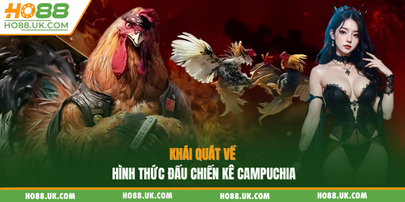 Khái quát về hình thức đấu chiến kê Campuchia